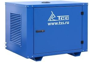 Бензиновый генератор ТСС SGG 5000EHNA в кожухе МК-1.1 110104 фото