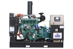 Дизельный генератор  АД-60 с АВР