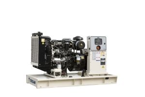 Дизельный генератор  TJ110PE5L Дизельный генератор  TJ110PE5L