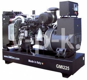 Дизельный генератор GMGen GMI225  фото