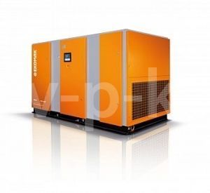 Винтовой компрессор Ekomak EKO 111CD VST 10 фото