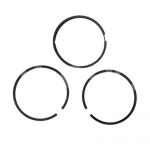 4080080000 Комплект поршневых колец высокого давления Fiac AB 851 4080080000 Комплект поршневых колец высокого давления Fiac AB 851 фото