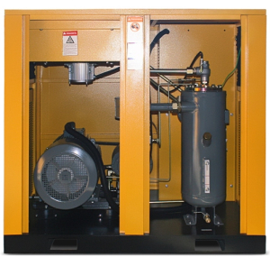 Винтовой компрессор Berg ВК-30Р-Е 12 (IP54) ременной фото