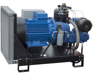 Винтовой компрессор Арсенал ЗИФ-СВЭ-3,5/1,0 без кожуха масляный Винтовой компрессор Арсенал ЗИФ-СВЭ-3,5/1,0 без кожуха масляный фото