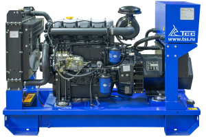 Дизельный генератор ТСС ЭД-25-Т400-1РПМ5 025935 фото